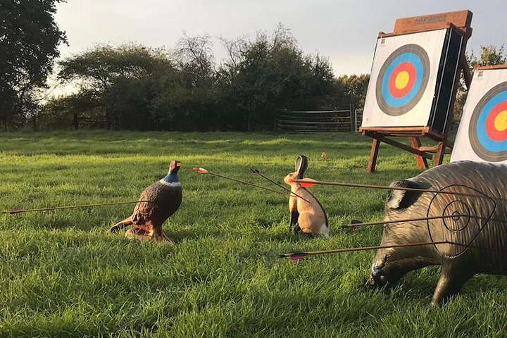 3D Animal Targets